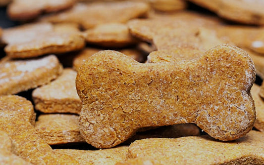 Peanut Butter Pumpkin Dog Treats