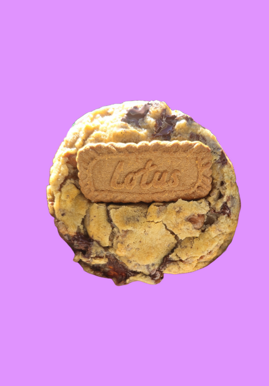 Vegan Biscoff Chocolate Chip